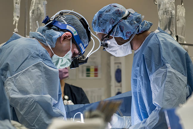 MUSC Health Transplant Awarded Designations | MUSC Health