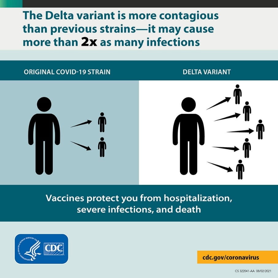 A graphic from the CDC 2 demonstrating a major difference between the Delta variant and its cousin the original Alpha COVID-19 virus, which is its infectivity.