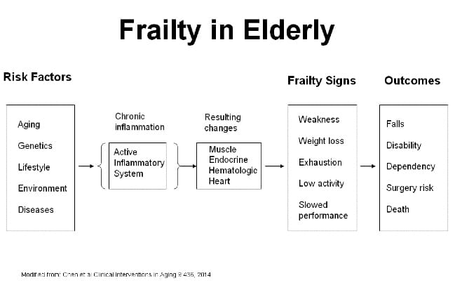 frailty in elderly: Risk Factors, Signs and Outcomes