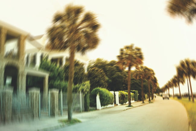 Stock photo of street lined with palm trees.