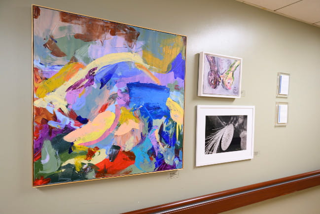 MUSC hallway hung with a one large painting and two smaller paintings.