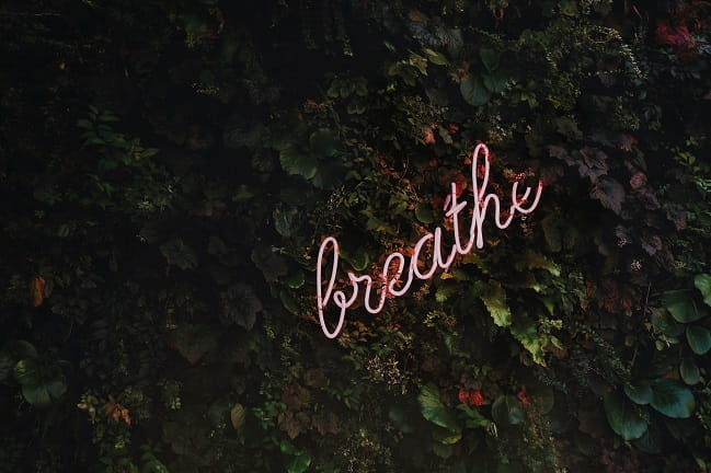 Breath sign in the bushes.